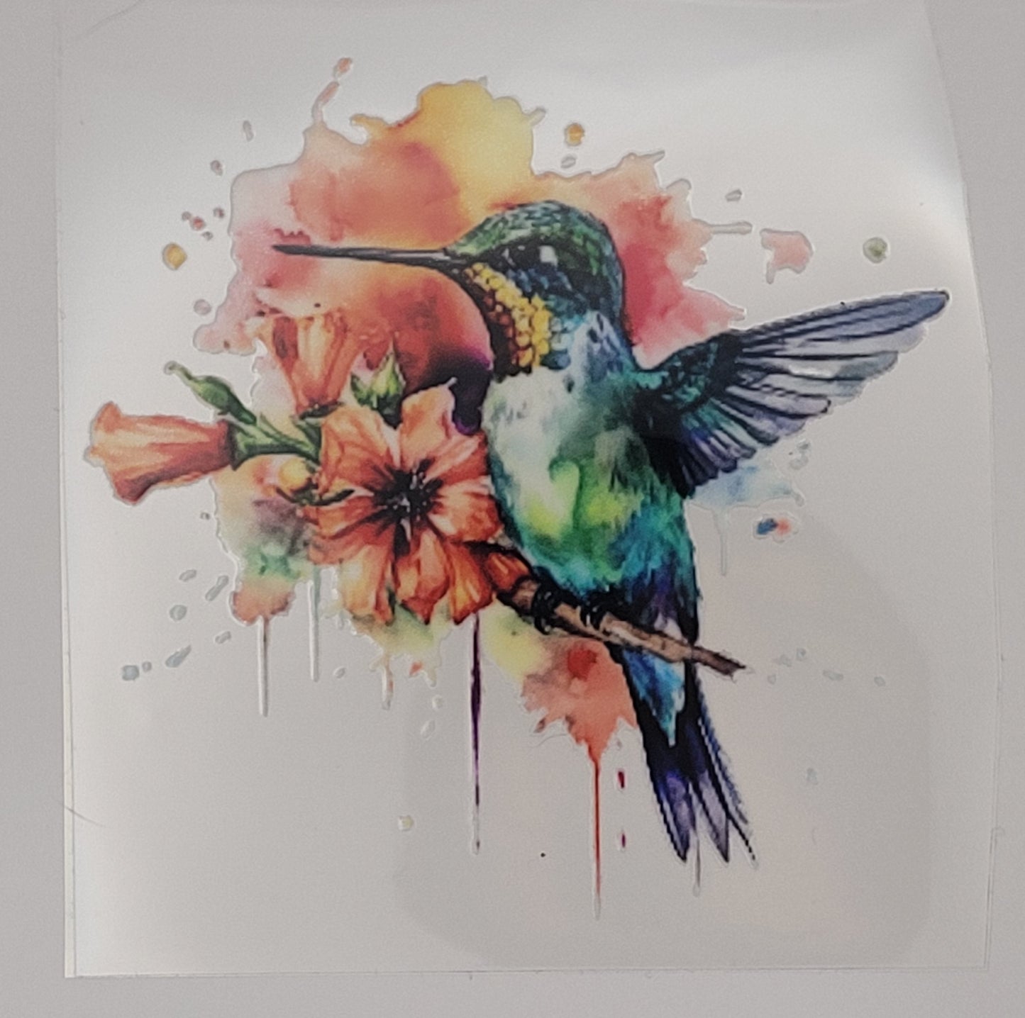 hummingbird decal